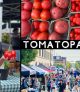 Tomatopalooza – Canton Farmer’s Market