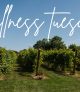 Wellness Tuesday: Full Moon Sound Bath with Yoga Strong